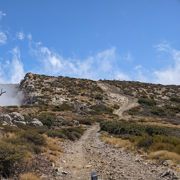 White Mountain Trail: High-Altitude Off-Road Adventure in Big Bear