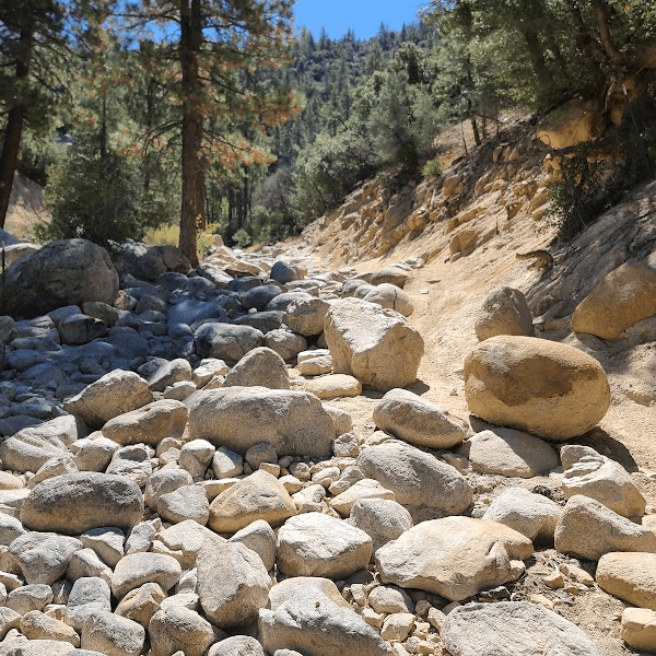 Holcomb Creek Trail Off-Road Guide: Terrain, Tips & Trail Rating - Truck Brigade