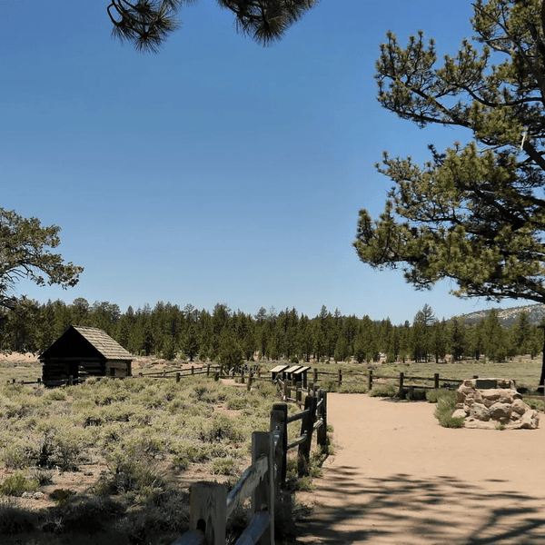 Holcomb Valley Trail: Big Bear's Historic Off-Road Adventure - Truck Brigade