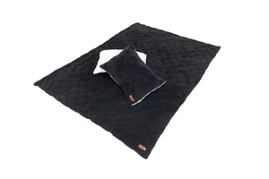 Freespirit RecreationCloud Comforter & Pillow Case Set | Truck Brigade