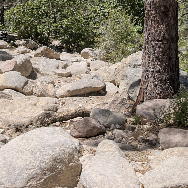 John Bull Trail: One of Southern California's Toughest 4x4 Runs