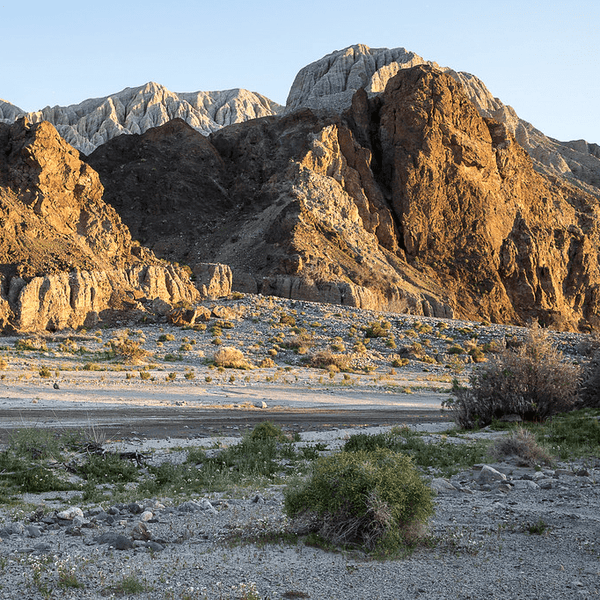 Mojave Off-Road Trails: Exploring the Legendary Mojave National Preserve - Truck Brigade