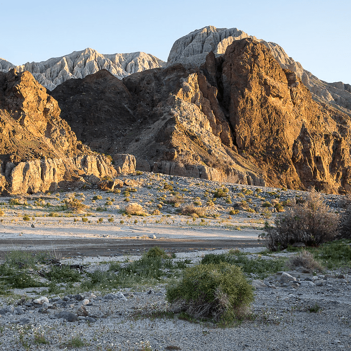 Mojave Off-Road Trails: Exploring the Legendary Mojave National Preserve - Truck Brigade