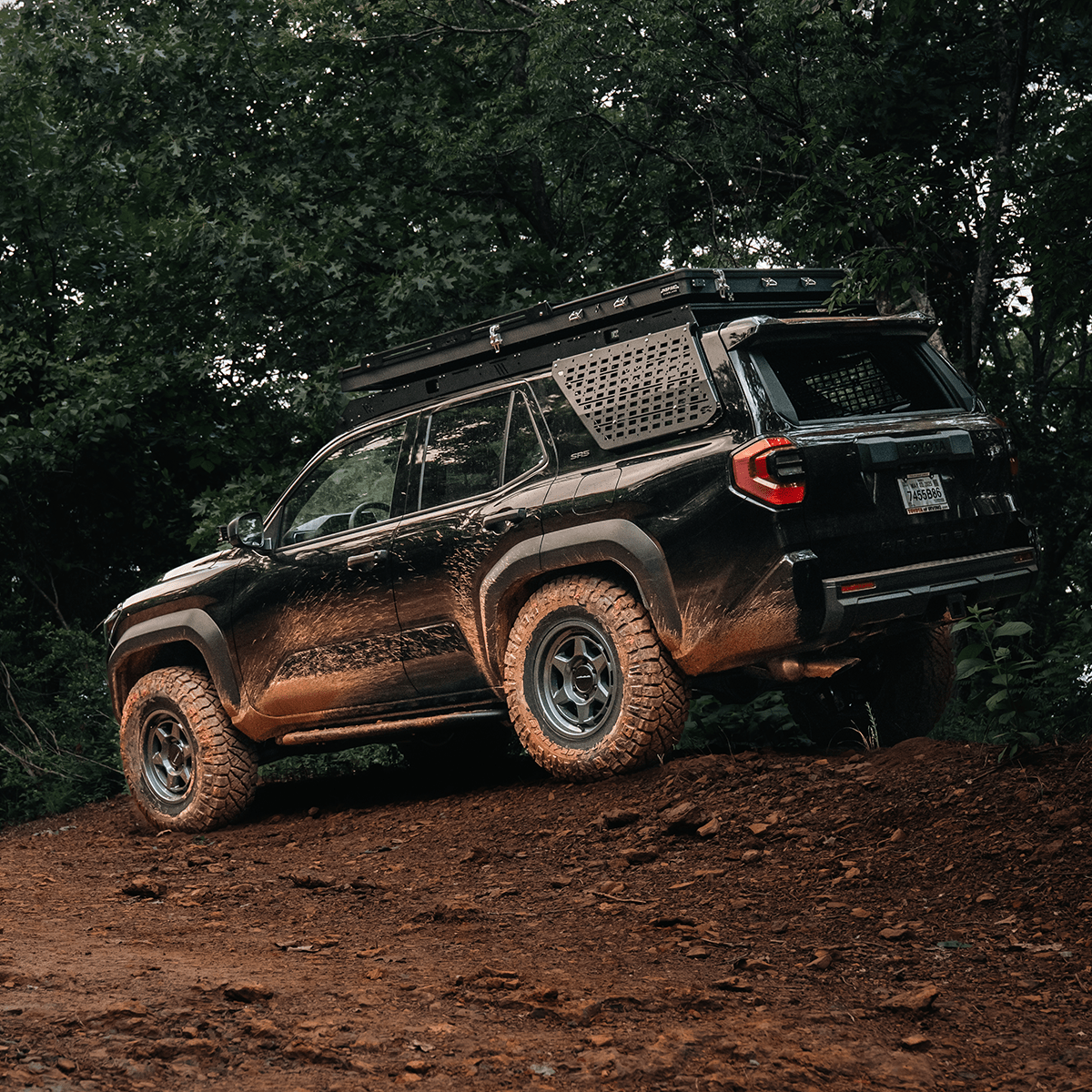 Cali Raised T4R 6th Gen Exterior Window Molle Panel | Toyota 4Runner (2025-2026) | Truck Brigade