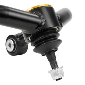 Dirt King 4130 Upper Control Arms | Nissan Titan (2016–2023) | Truck Brigade