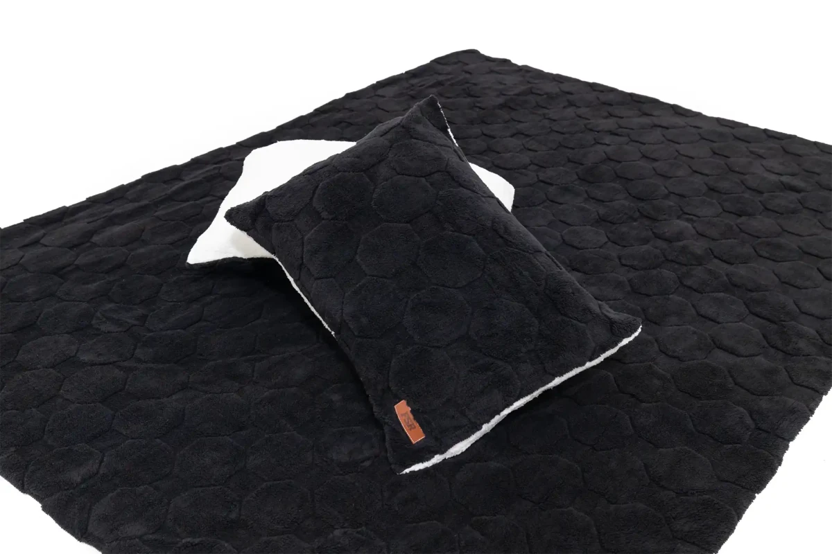 Freespirit RecreationCloud Comforter & Pillow Case Set | Truck Brigade