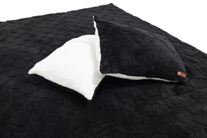 Freespirit RecreationCloud Comforter & Pillow Case Set | Truck Brigade