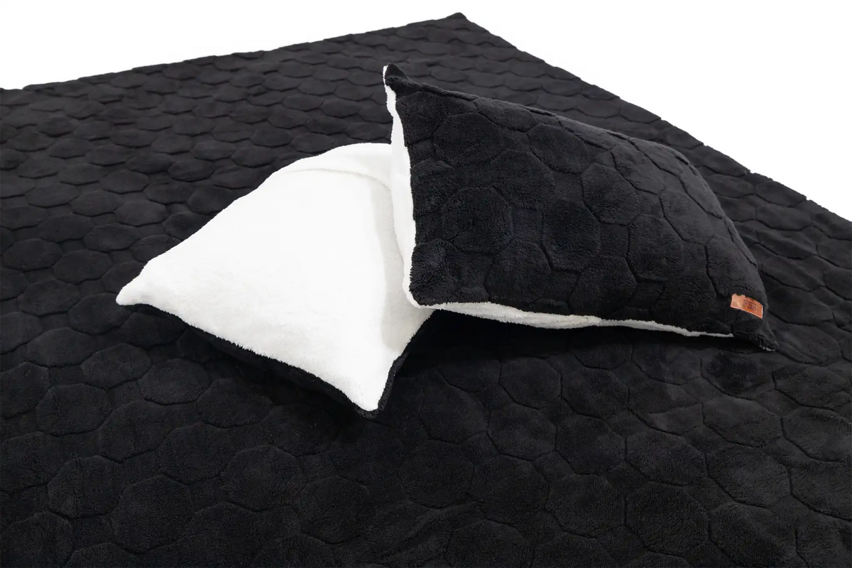 Freespirit RecreationCloud Comforter &amp; Pillow Case Set