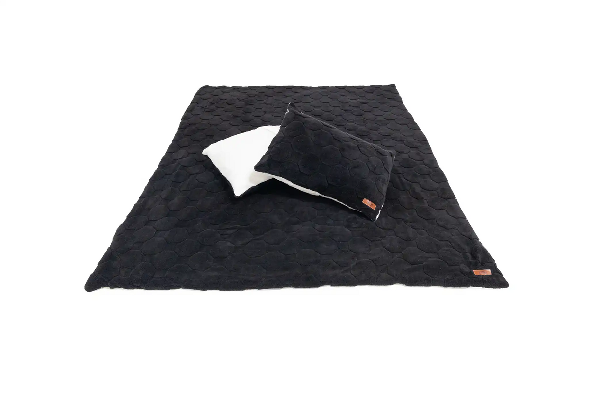 Freespirit RecreationCloud Comforter &amp; Pillow Case Set