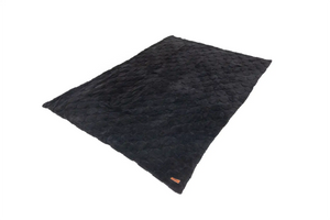 Freespirit RecreationCloud Comforter & Pillow Case Set