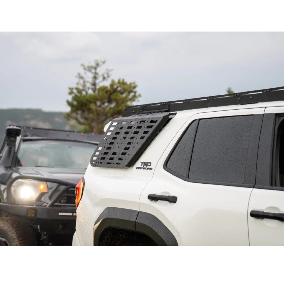 RCI Offroad Roof Rack Side Molle Panel | Toyota 4Runner (2025 - 2026) | Truck Brigade