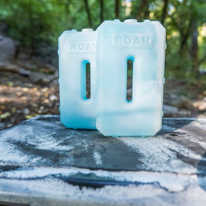 ROAM Adventure Co. Ice Pack - Truck Brigade